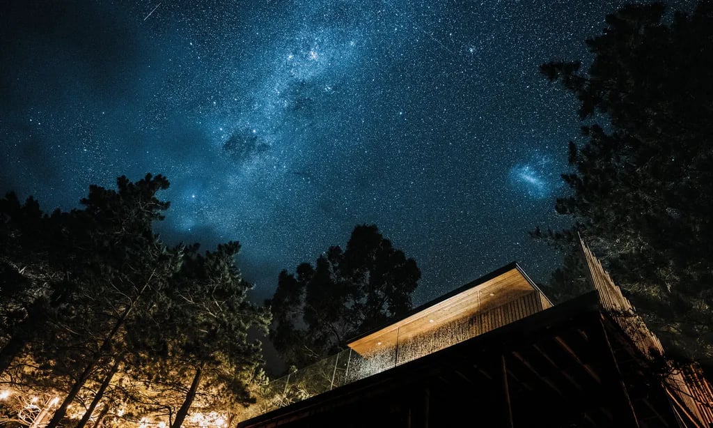 Nest Tree Houses gallery 2