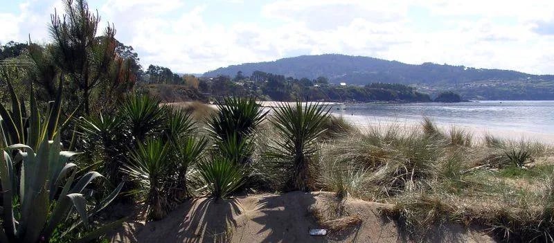 Camping el Raso gallery 3