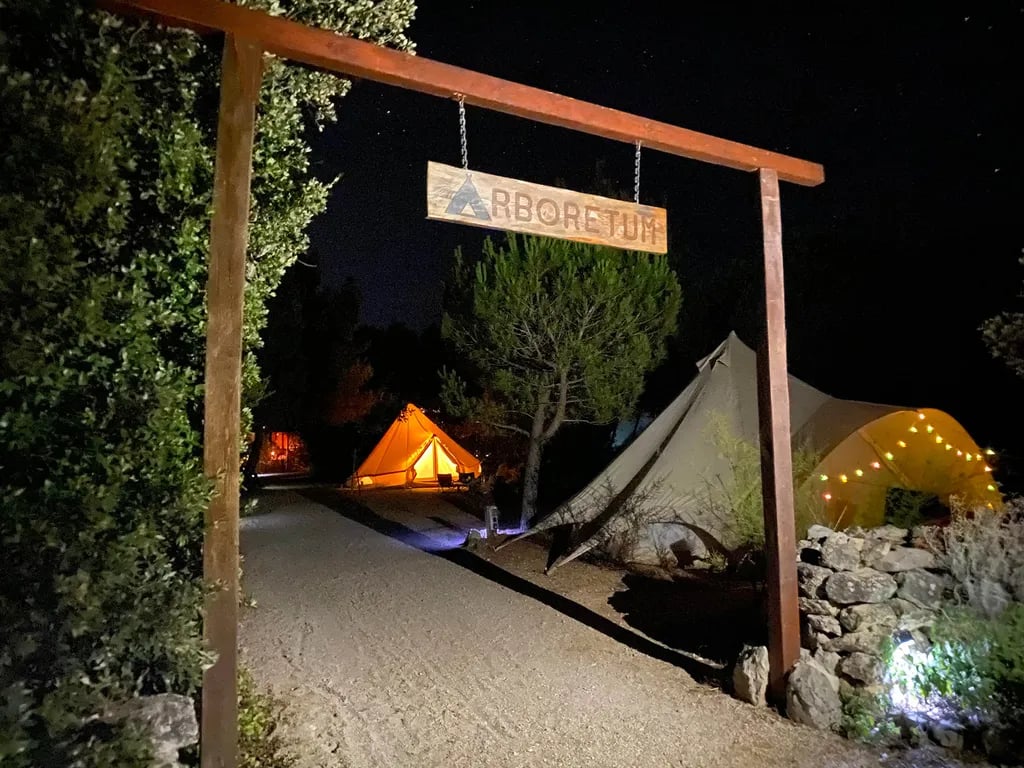 Camp Arboretum gallery 1