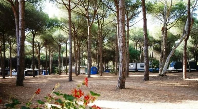 Camping Village Bella Sardinia gallery 3