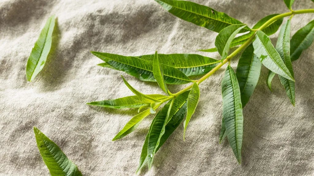 Agricampeggio Elilu Soul Farm gallery 1