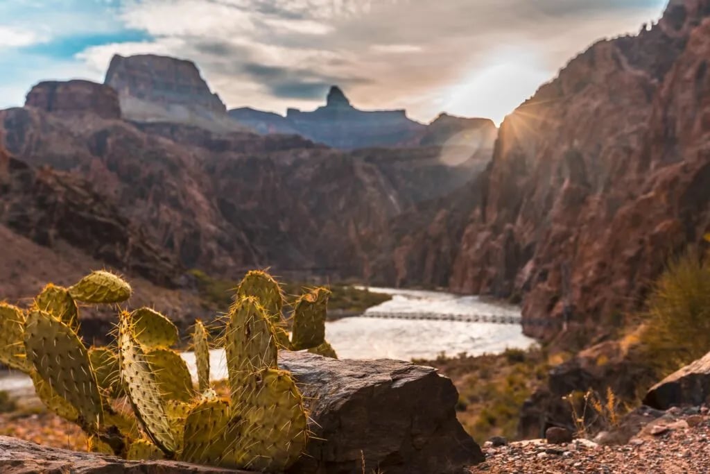 Oasis RV Resort gallery 2