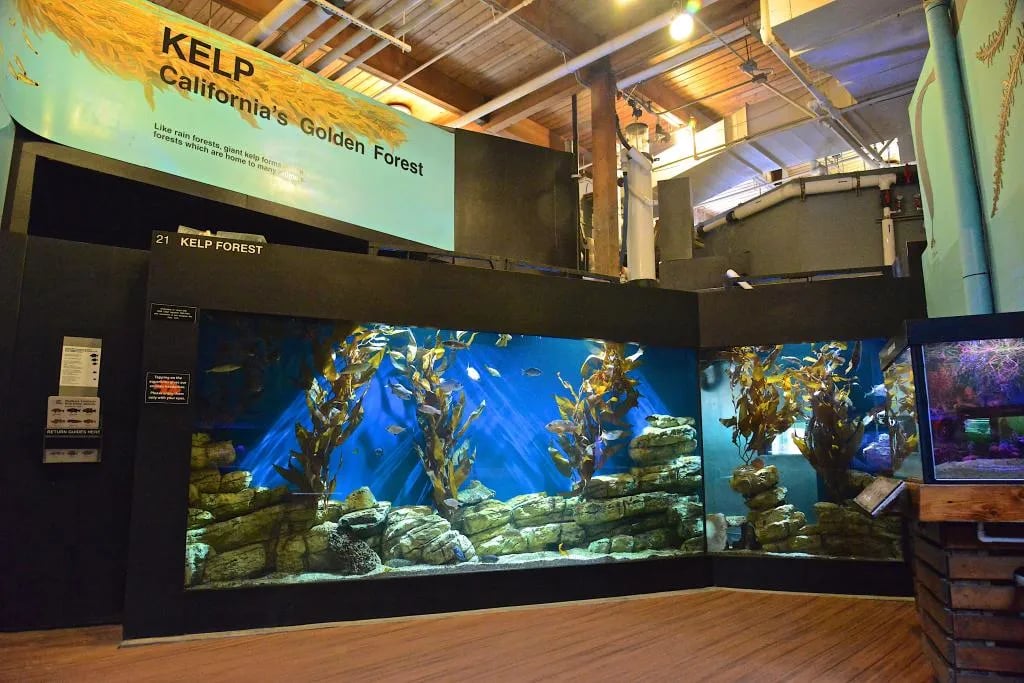 Hollenbeck Park gallery 1