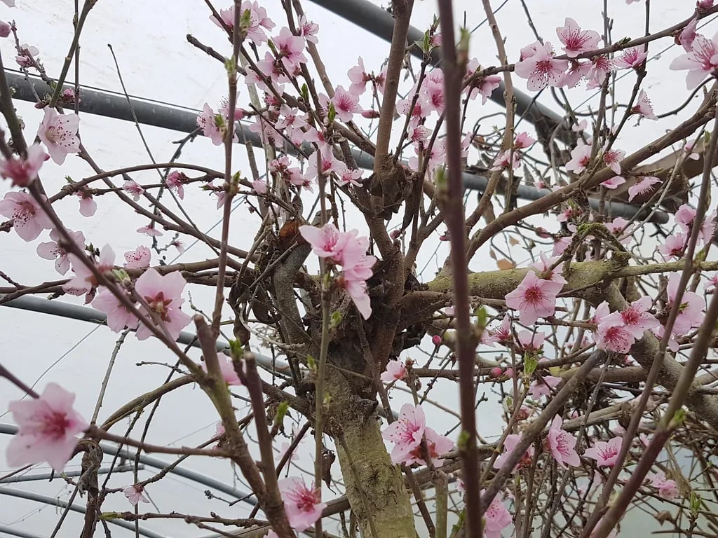 Little Leat gallery 1