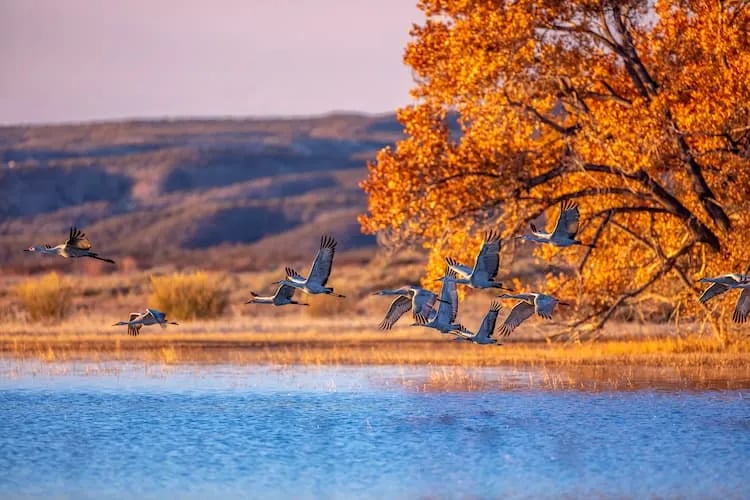 Pinewoods Lake Rec Area — Mark Twain National Forest gallery 1
