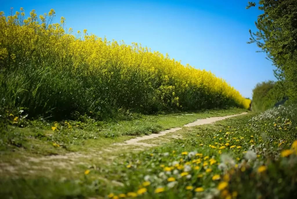 Ostseecamping Ferienpark Zierow KG