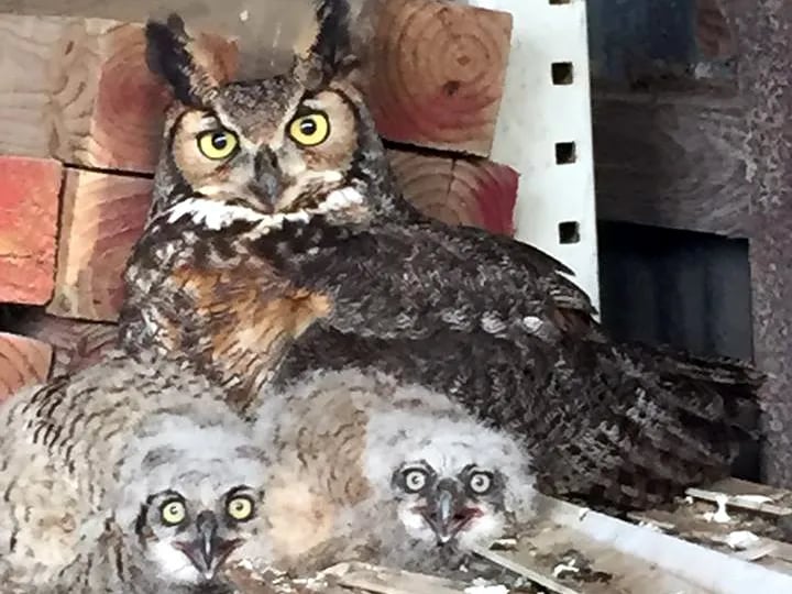 Lazy Palm Ranch gallery 3