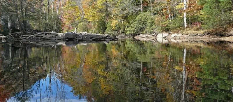 Siler Bald Trail Shelter TR 373 gallery 1