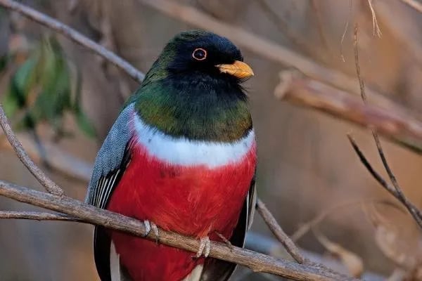 Patagonia Lake State Park Boat-In Campsites gallery 2