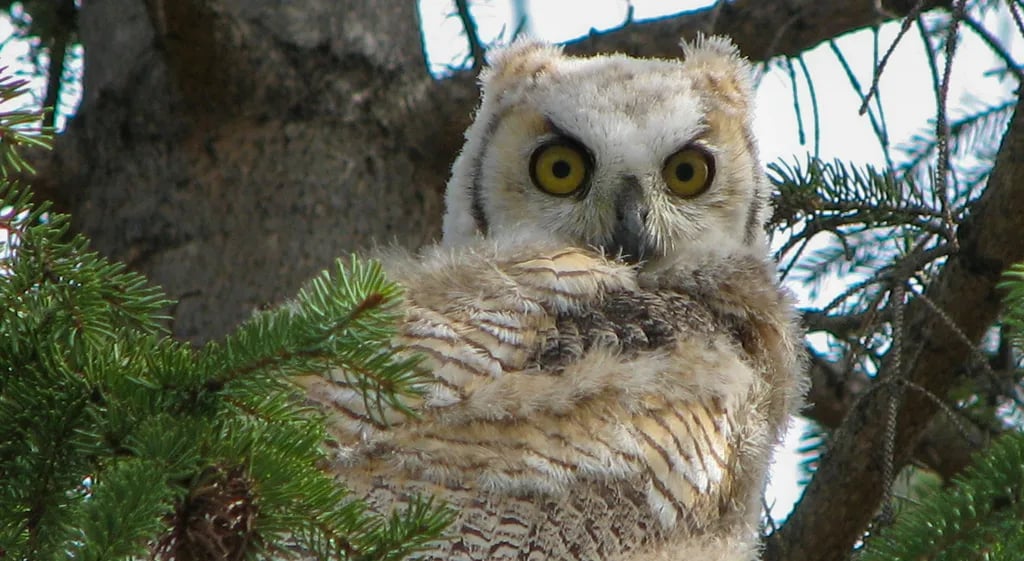 Miquelon Lake Provincial Park