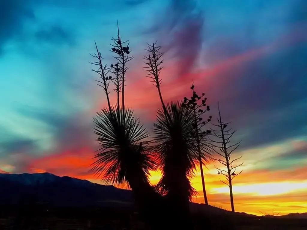 Wagon West RV Park gallery 2