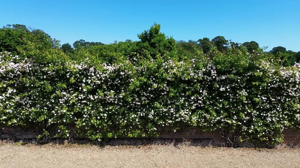 Burton Constable Holiday Park and Arbore gallery 2