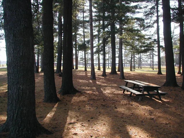 Peshtigo Badger Park Campground gallery 2