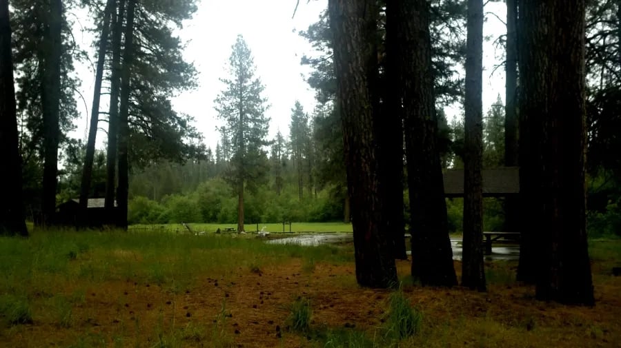 Dragoon Creek Campground gallery 2