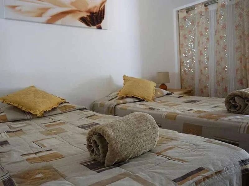 Olive Branch El Chorro gallery 3