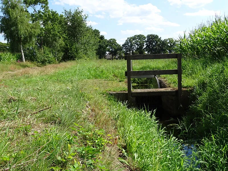 ‘T SKÔNSTE PLEKSKE gallery 2