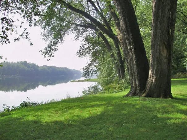 Riverside Campground & Riverside Roadhouse gallery 2