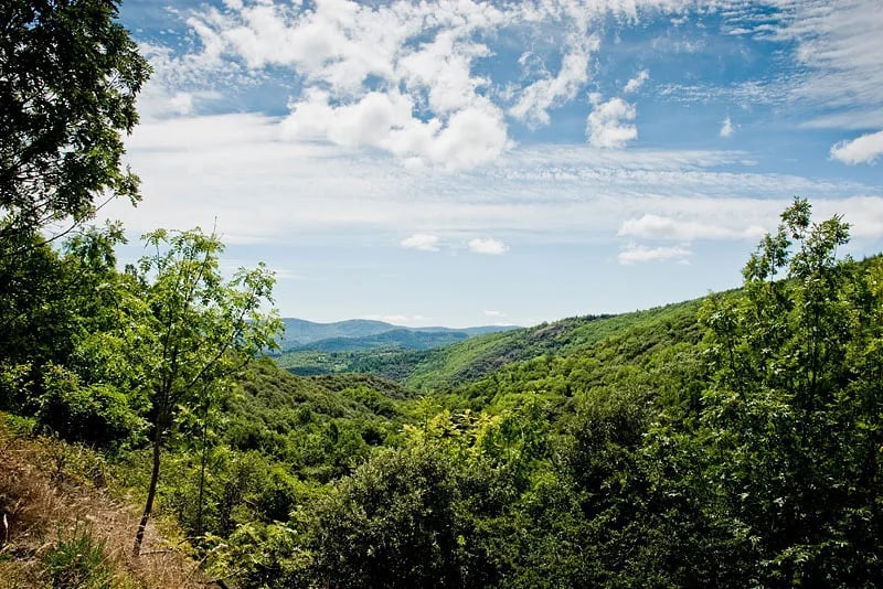 Domaine la Borio de Roque gallery 2