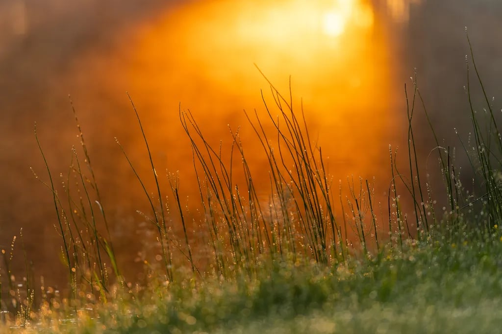 Lepanina Hotel and Camping