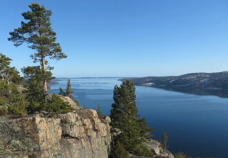 Docksta Vandrarhem och Camping – Kustladan