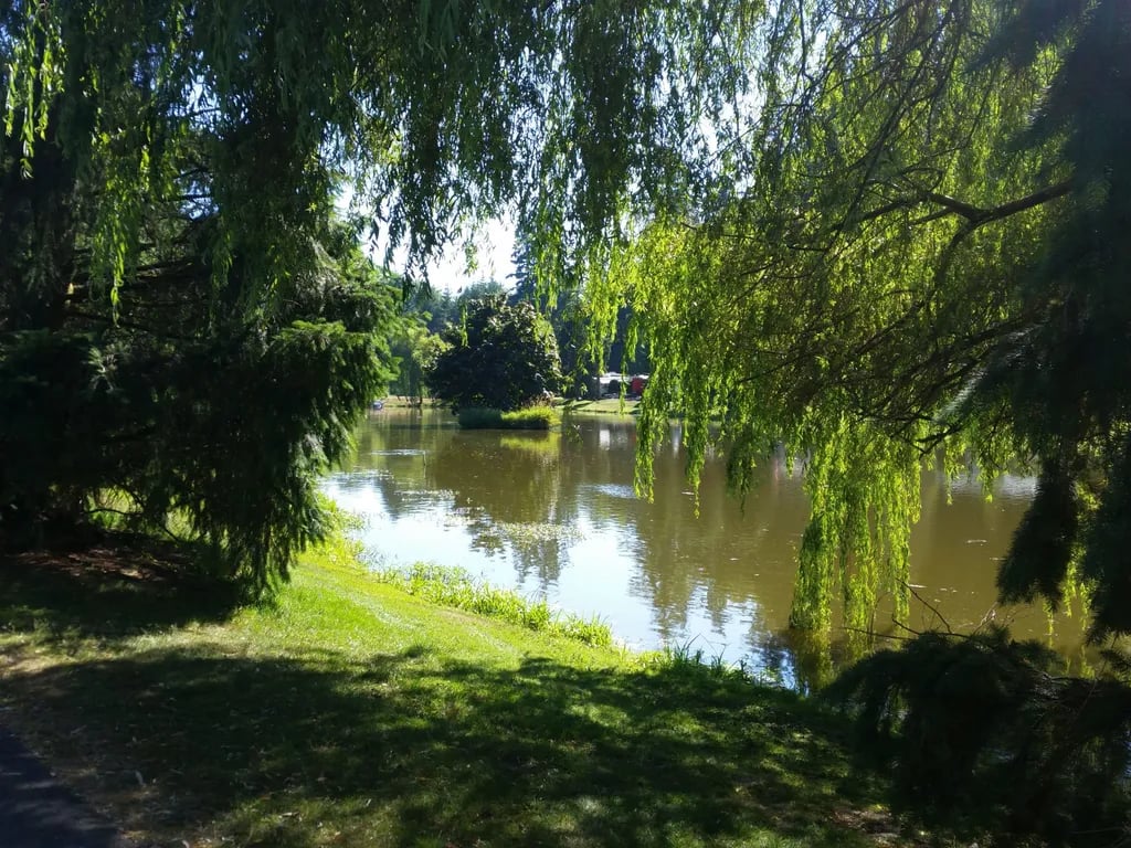 Lake Pleasant RV Park