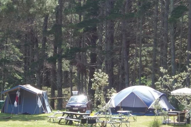 Opoutere Coastal Camping gallery 3