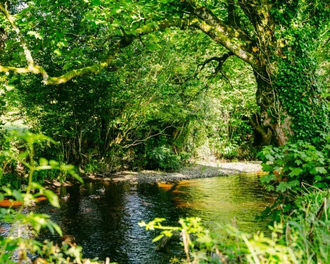 Riverbend Caravan Park gallery 3