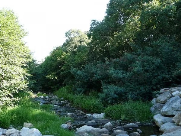 Camping Le Rancho gallery 3