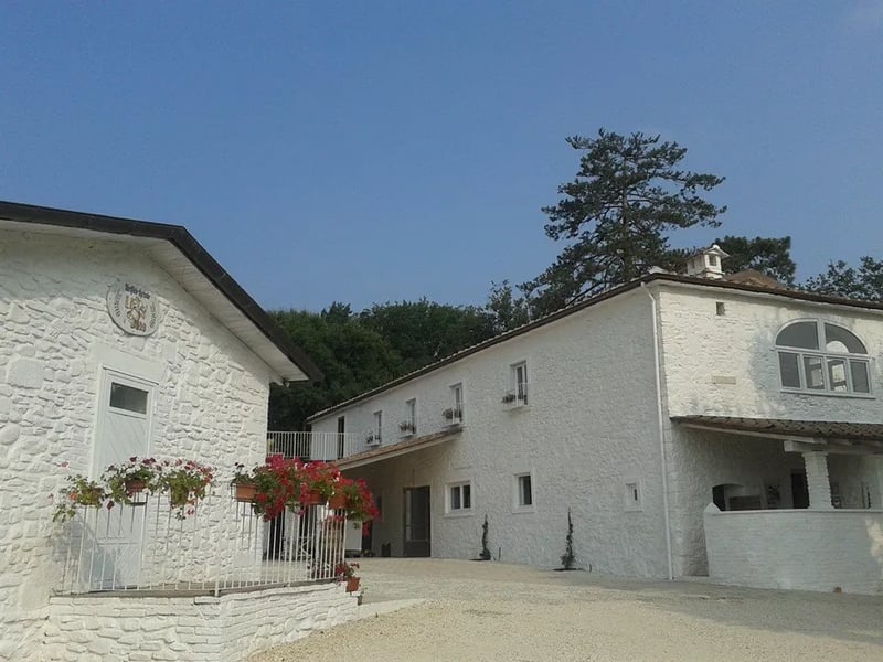 Azienda Agricola La Campana d’Oro gallery 1