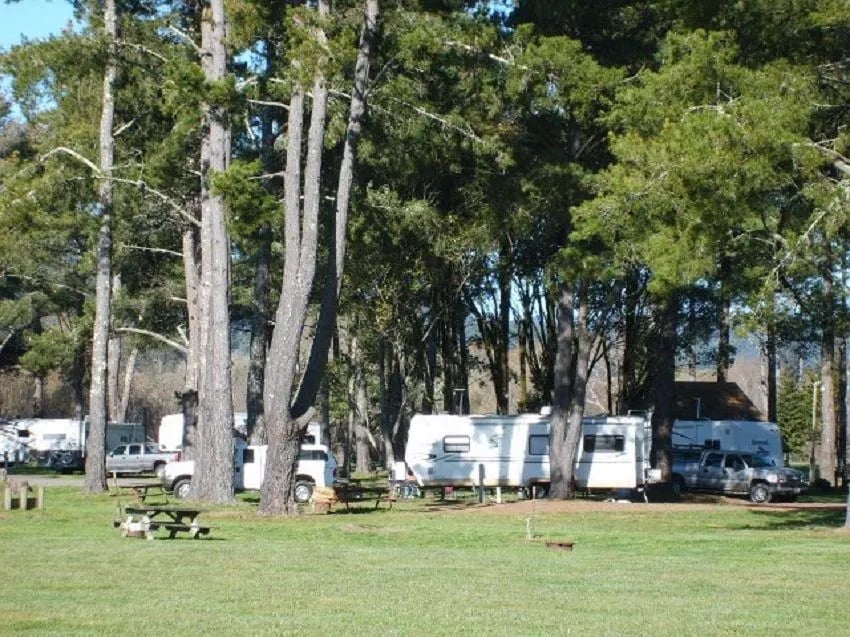 Olema Campground gallery 1