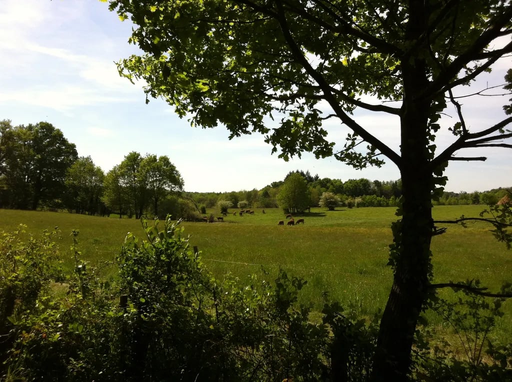 Camping Maisonneuve gallery 2