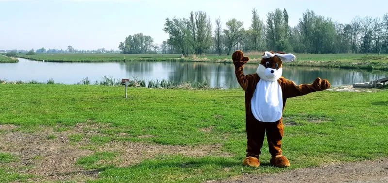 Camping De Nes gallery 3