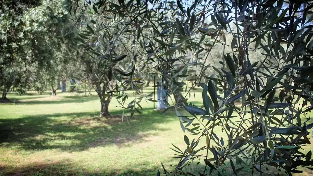 Agricamping Monterotondo