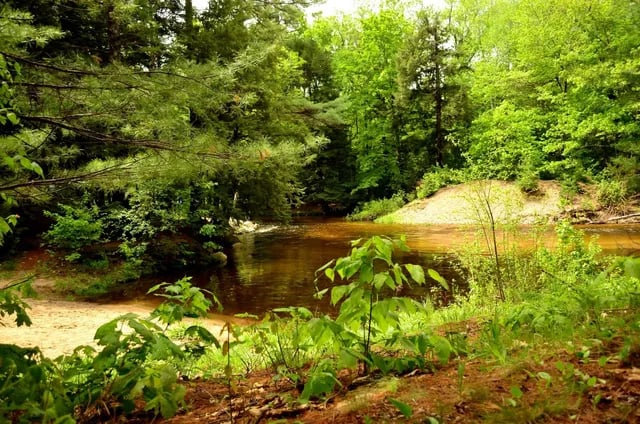 Tamworth Camping Area gallery 1