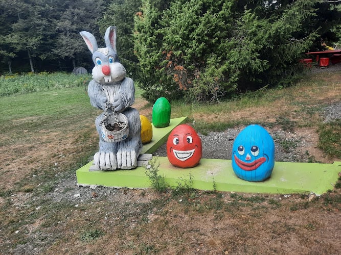 Šumska bajka – Forest Fairytale