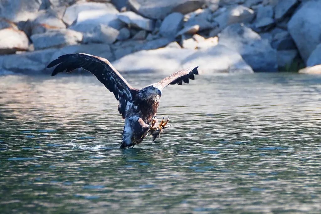 Wishon Village RV Resort gallery 1