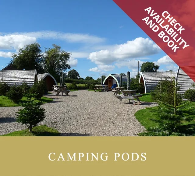 Pentreclawdd Farm gallery 2