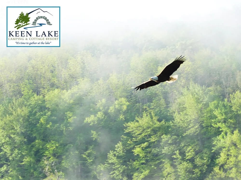 Keen Lake Resort Campground