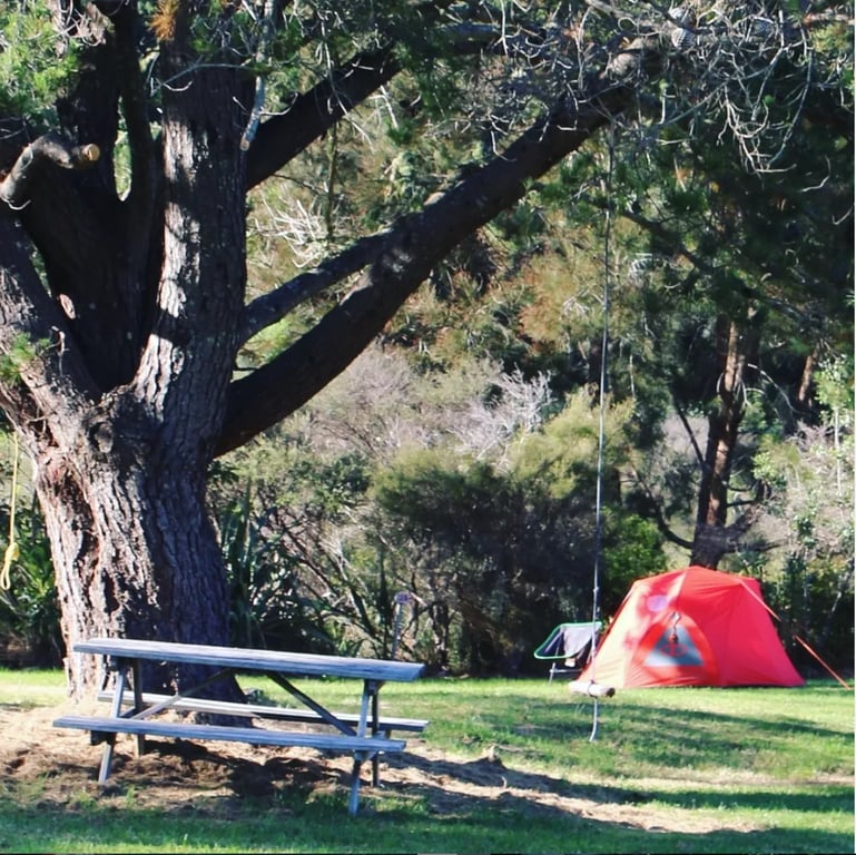 Opoutere Coastal Camping