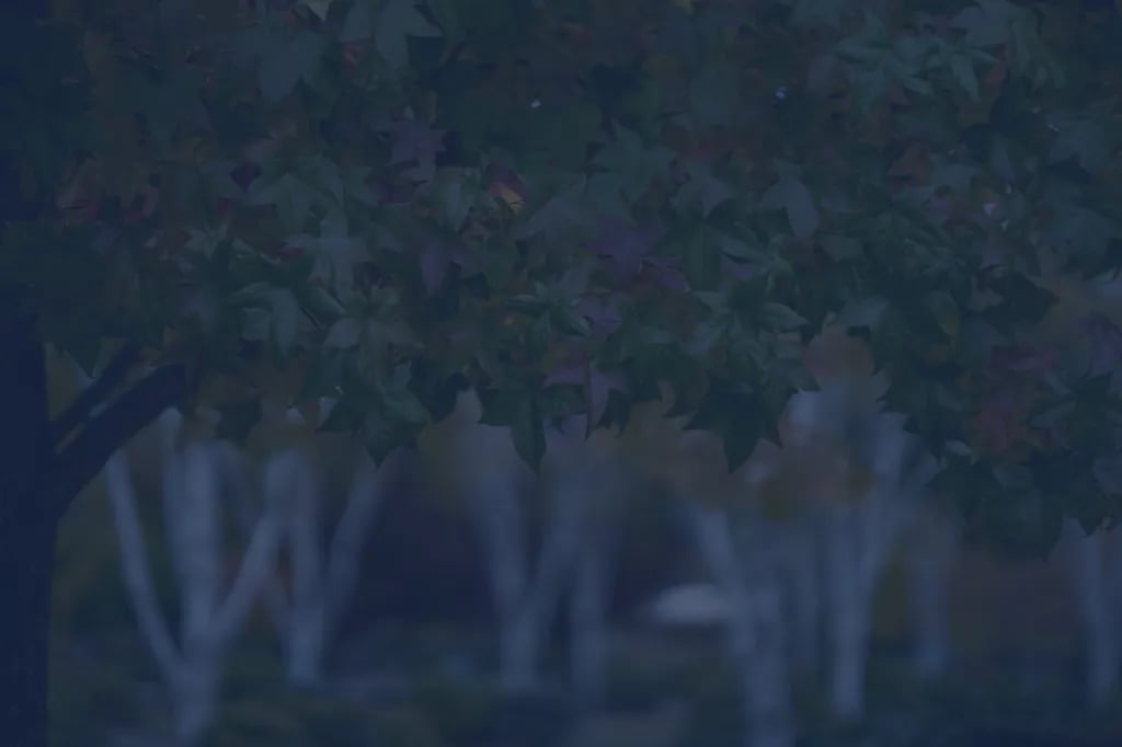 Seven Feathers RV Resort gallery 2