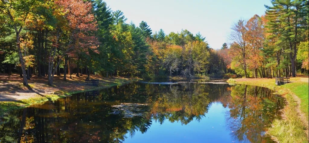 Stratton Brook Picnic Shelter
