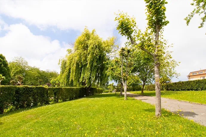 Camping Santillana gallery 1