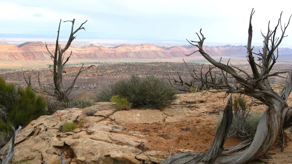 Blue Mountain RV Park