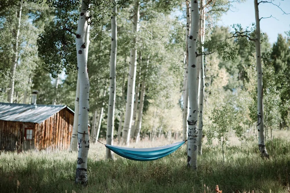 The Cabins at Historic Columbine gallery 2