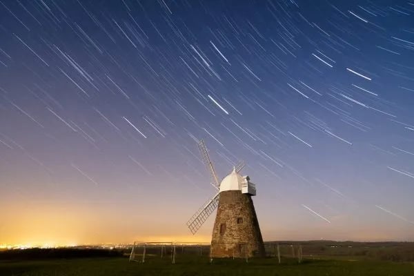 Walnut Tree gallery 1