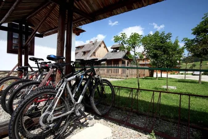 Camping** Nr 38 Polana Sosny gallery 3