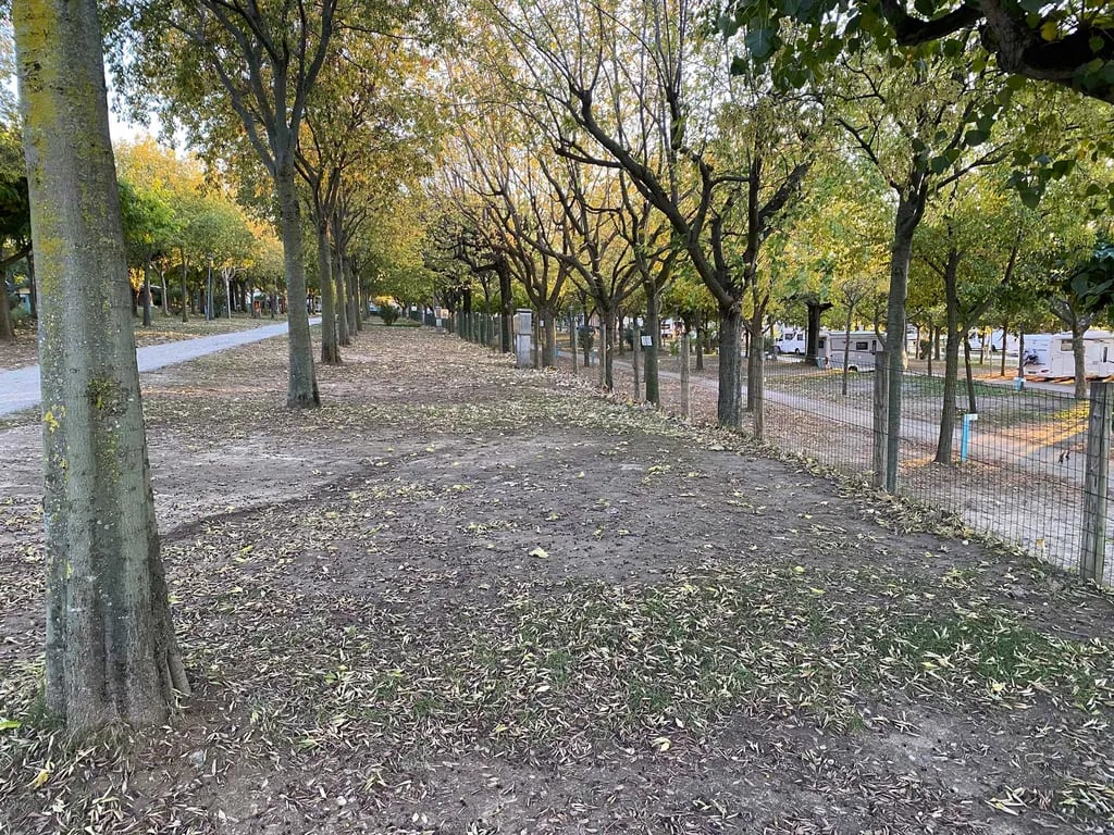 Campeggio Spiaggia D’Oro