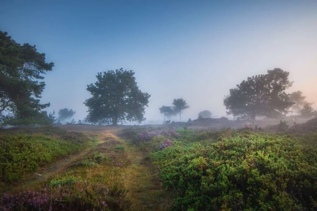 De Goede Weide Recreatie gallery 2