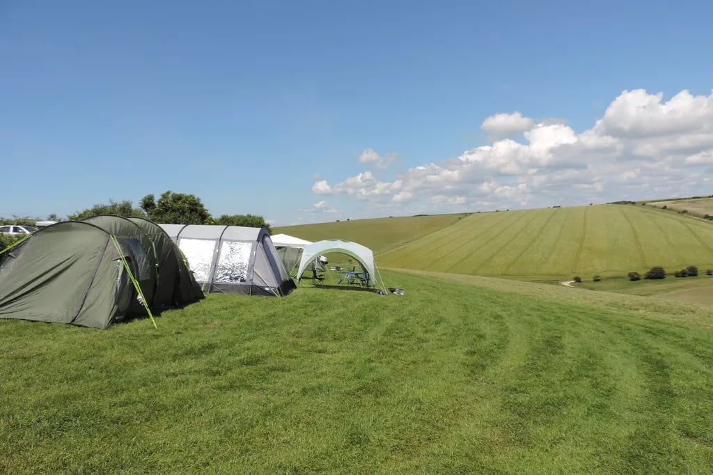 Pop-up Brighton Campsite gallery 2