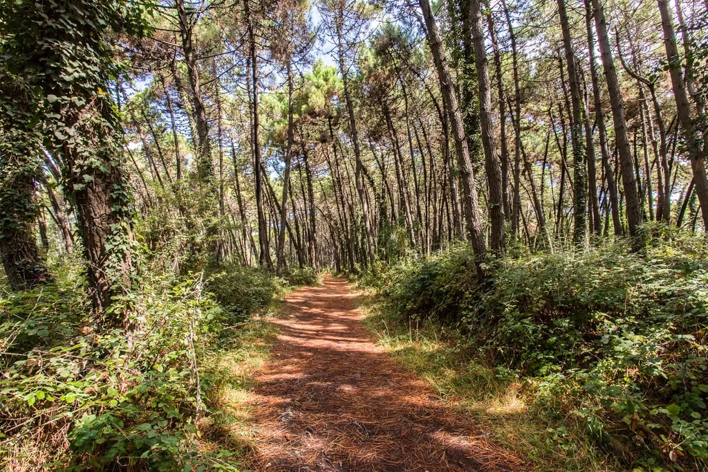 Sole Family Camping Village gallery 1